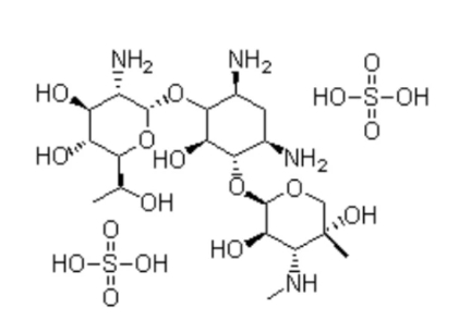G418硫酸盐,遗传霉素